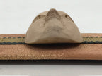 Japanese Carved Noh Mask Obidome Vtg Netsuke Sandalwood Young Girl Koomote SP1