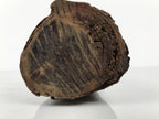 Japanese Carved Wooden Statue Vtg Fukurokuju 7 Lucky Gods Longevity Wealth ST92