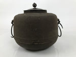 Japanese Cast Iron Kettle Brazier Chagama Vtg Tea Ceremony Sado Water Pot C31