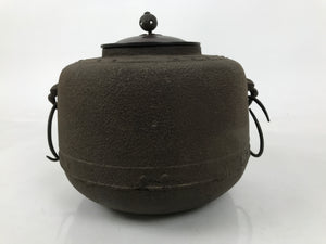 Japanese Cast Iron Kettle Brazier Chagama Vtg Tea Ceremony Sado Water Pot C31