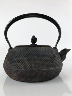 Japanese Cast Iron Tetsubin Kettle Teapot Vtg Tea Ceremony Nanbu Tekki T115