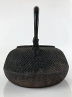 Japanese Cast Iron Tetsubin Kettle Teapot Vtg Tea Ceremony Nanbu Tekki T115
