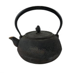 Japanese Cast Iron Tetsubin Kettle Teapot Vtg Tea Ceremony Nanbu Tekki T115