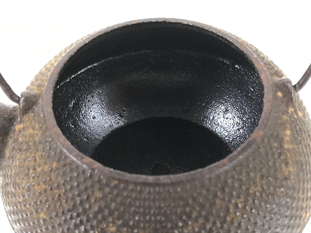 Japanese Cast Iron Tetsubin Kettle Teapot Vtg Tea Ceremony Nanbu Tekki T120