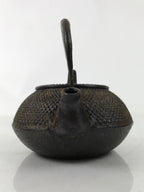Japanese Cast Iron Tetsubin Kettle Teapot Vtg Tea Ceremony Nanbu Tekki T120