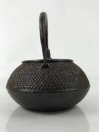 Japanese Cast Iron Tetsubin Kettle Teapot Vtg Tea Ceremony Nanbu Tekki T120