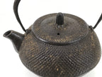 Japanese Cast Iron Tetsubin Kettle Teapot Vtg Tea Ceremony Nanbu Tekki T120