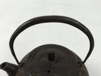 Japanese Cast Iron Tetsubin Kettle Teapot Vtg Tea Ceremony Nanbu Tekki T120