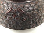 Japanese Cast Iron Tetsubin Kettle Teapot Vtg Tea Ceremony Nanbu Tekki T169