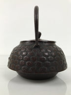 Japanese Cast Iron Tetsubin Kettle Teapot Vtg Tea Ceremony Nanbu Tekki T169