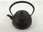 Japanese Cast Iron Tetsubin Kettle Teapot Vtg Tea Ceremony Nanbu Tekki T169