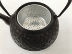 Japanese Cast Iron Tetsubin Kettle Teapot Vtg Tea Ceremony Nanbu Tekki T169