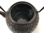 Japanese Cast Iron Tetsubin Kettle Teapot Vtg Tea Ceremony Nanbu Tekki T169