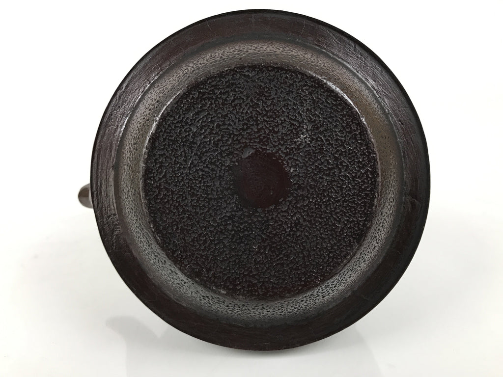 Japanese Cast Iron Tetsubin Kettle Teapot Vtg Tea Ceremony Nanbu Tekki T169