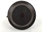 Japanese Cast Iron Tetsubin Kettle Teapot Vtg Tea Ceremony Nanbu Tekki T169