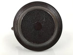 Japanese Cast Iron Tetsubin Kettle Teapot Vtg Tea Ceremony Nanbu Tekki T169