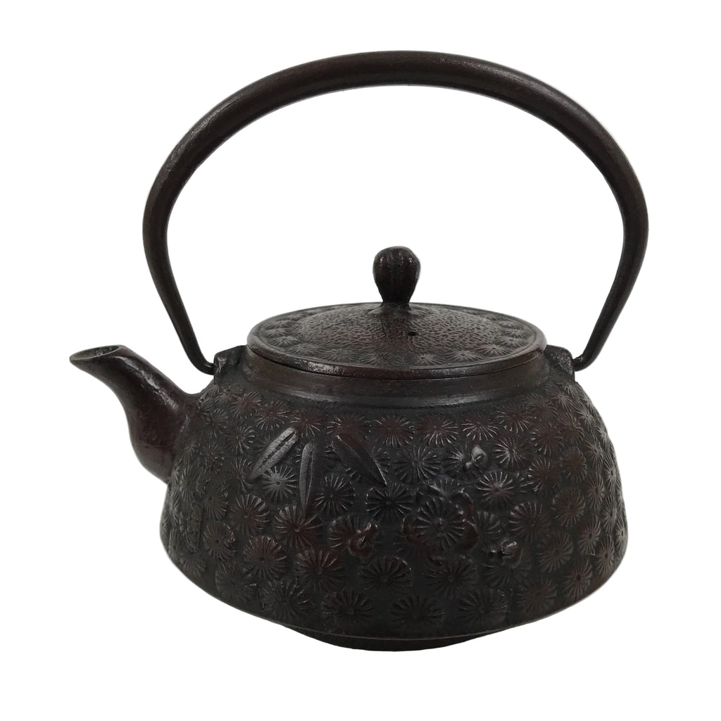 Japanese Cast Iron Tetsubin Kettle Teapot Vtg Tea Ceremony Nanbu Tekki T169