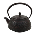 Japanese Cast Iron Tetsubin Kettle Teapot Vtg Tea Ceremony Nanbu Tekki T169