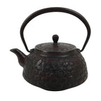 Japanese Cast Iron Tetsubin Kettle Teapot Vtg Tea Ceremony Nanbu Tekki T169
