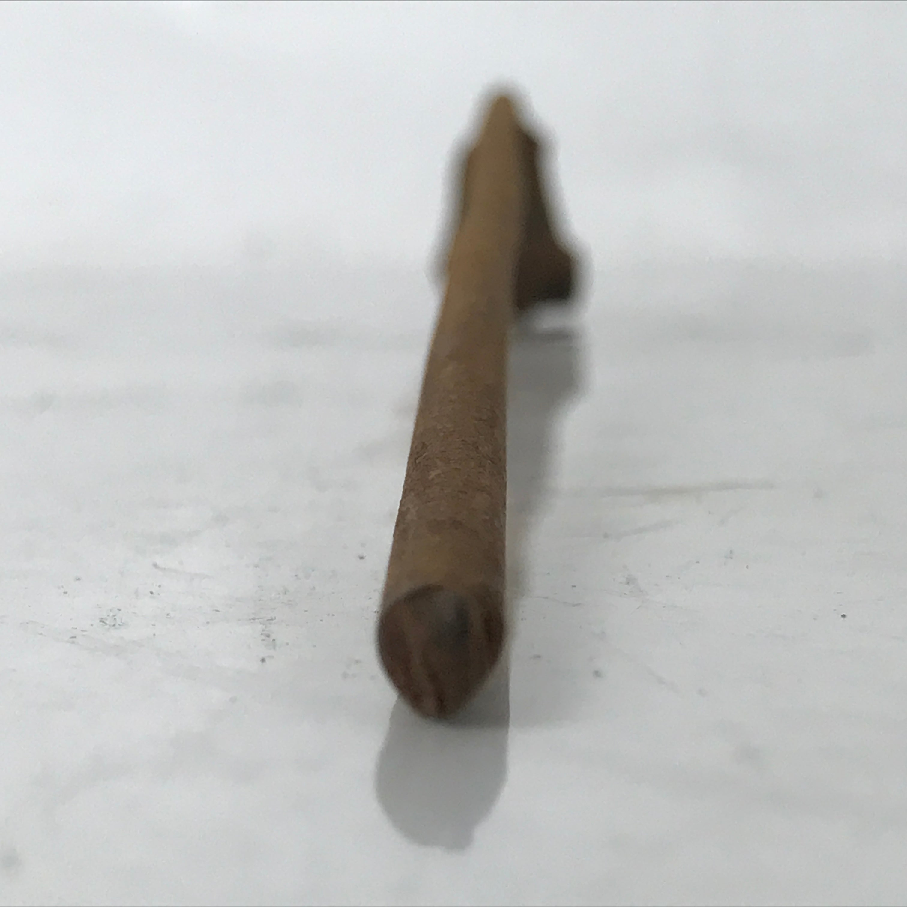 Japanese Cast Iron Yaki-In Branding Stamp Vtg Craft Sweet Bird Plum Blossom T144