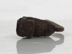 Japanese Cast Iron Yaki-In Branding Stamp Vtg Wood Craft Sweet Large Kanji T160
