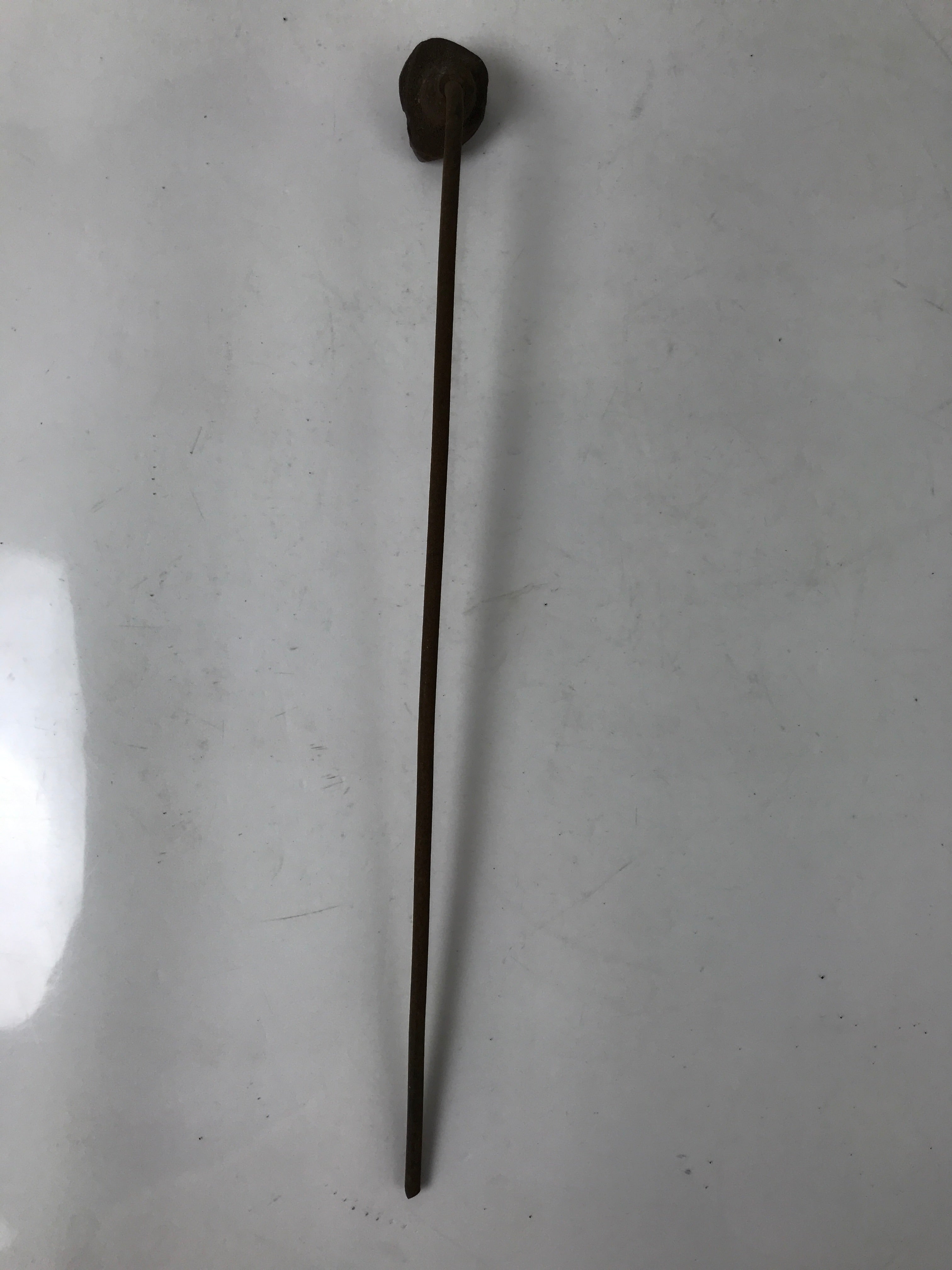 Japanese Cast Iron Yaki-In Branding Stamp Wood Craft Sweet Daffodil Suisen T143