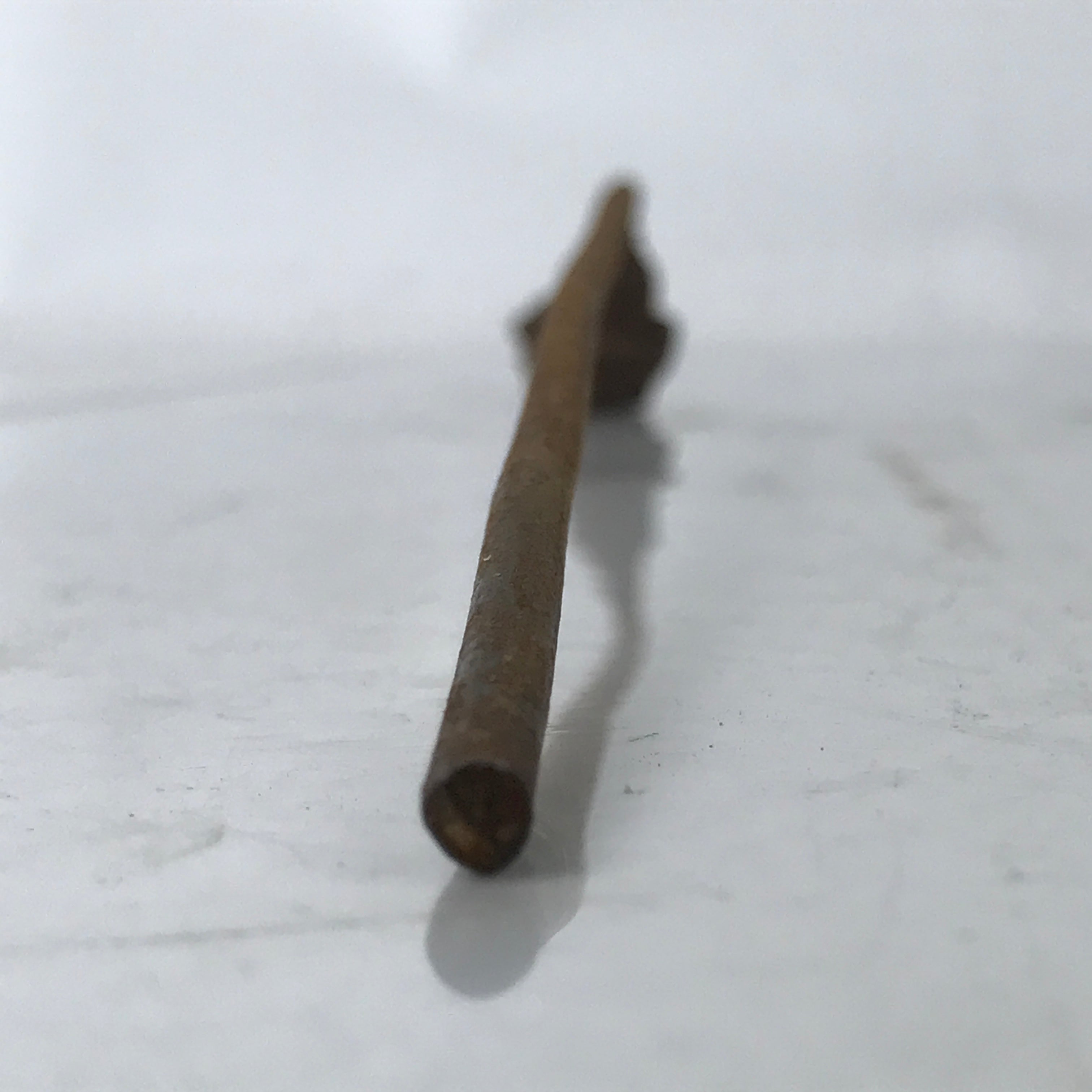 Japanese Cast Iron Yaki-In Branding Stamp Wood Craft Sweet Daffodil Suisen T143