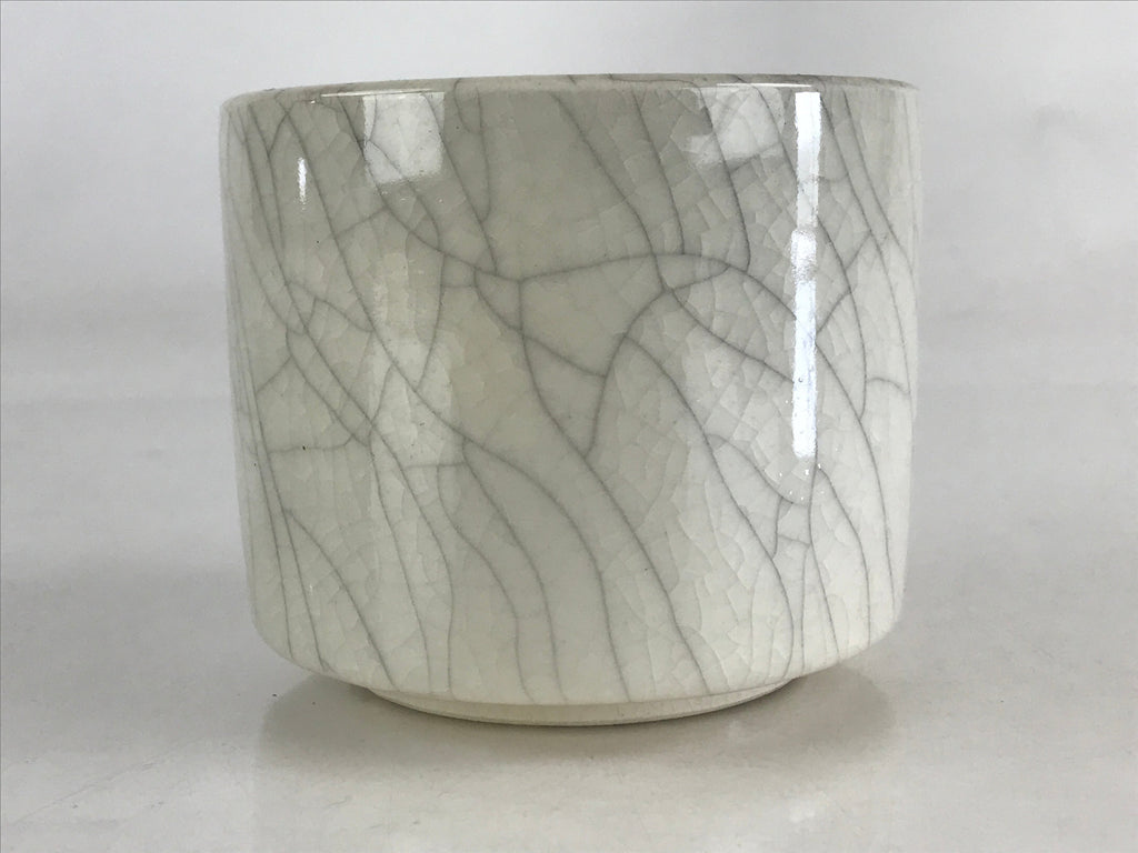 Japanese Ceramic Green Tea Bowl Vtg Chawan Tea Ceremony Matcha White GTB978