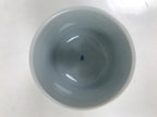 Japanese Ceramic Lidded Teacup Vtg Sometsuke Autumn Flowers Blue White TC570