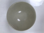 Japanese Ceramic Rice Bowl Owan Vtg Kobachi Beige Brown Leafy Plant Design Y394