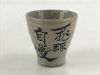 Japanese Ceramic Sake Bottle Sake Cup Kayoi-Tokkuri Hand-Written Vyg Kanji TS514