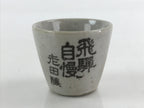 Japanese Ceramic Sake Bottle Sake Cup Set Tokkuri Hand-Written Vtg Kanji TS511
