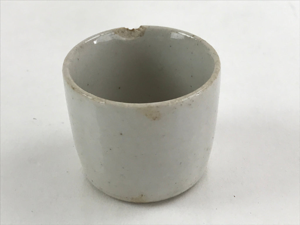 Japanese Ceramic Sake Bottle Sake Cup Set Tokkuri Sakebin Kanji Hida TS540