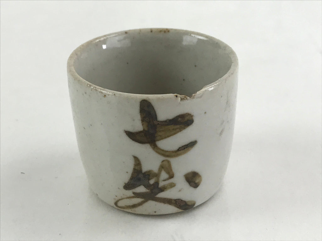 Japanese Ceramic Sake Bottle Sake Cup Set Tokkuri Sakebin Kanji Hida TS540
