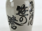 Japanese Ceramic Sake Bottle Sake Cup Set Tokkuri Sakebin Kanji Nagano TS536