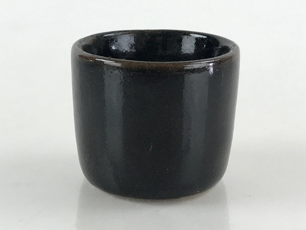Japanese Ceramic Sake Bottle Sake Cup Tokkuri Sakebin Kanji Hida Takayama TS518