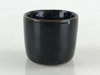Japanese Ceramic Sake Bottle Sake Cup Tokkuri Sakebin Kanji Hida Takayama TS518