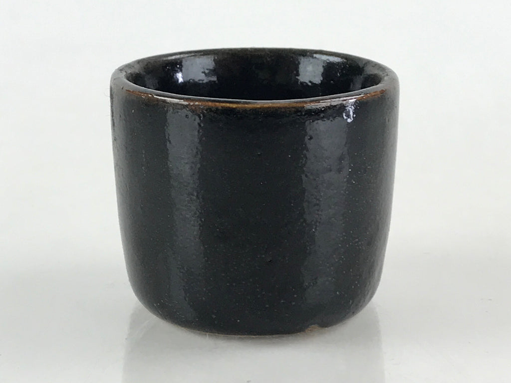 Japanese Ceramic Sake Bottle Sake Cup Tokkuri Sakebin Kanji Hida Takayama TS518