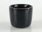 Japanese Ceramic Sake Bottle Sake Cup Tokkuri Sakebin Kanji Hida Takayama TS518