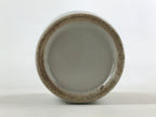 Japanese Ceramic Sake Bottle Vtg Kayoi-Tokkuri Gray Hand-Written Kanji TS567