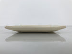 Japanese Ceramic Small Plate Kozara Vtg Square Pottery Iris Blue Beige Y552