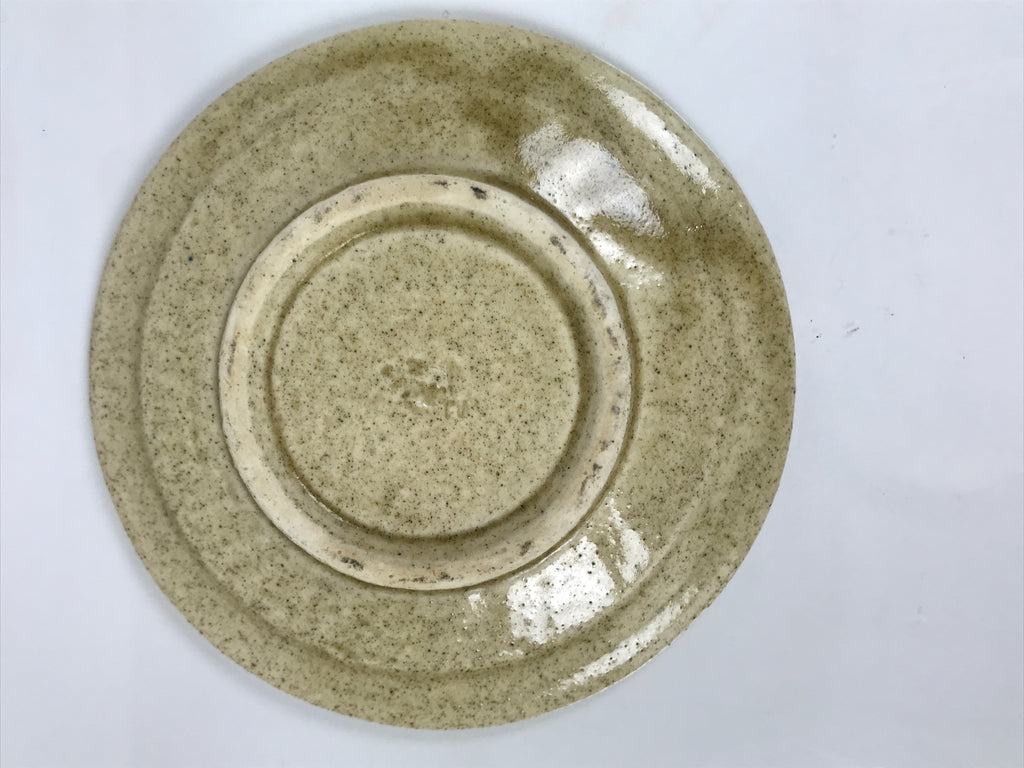 Japanese Ceramic Small Plate Mamezara Side Dish Vtg Beige Green Plants Y467
