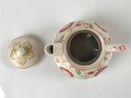 Japanese Ceramic Stacking Lidded Teapot Teacup Saucer Set Floral Beige Red PY717