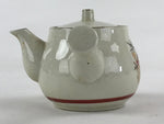 Japanese Ceramic Tea Set 5pc Teacups Teapot Vtg Kyusu Yunomi Tokoname Ware PX690