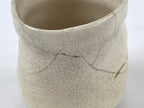 Japanese Ceramic Teacup Vtg Bamboo Beige Crackle Glaze Pottery Yunomi TC381