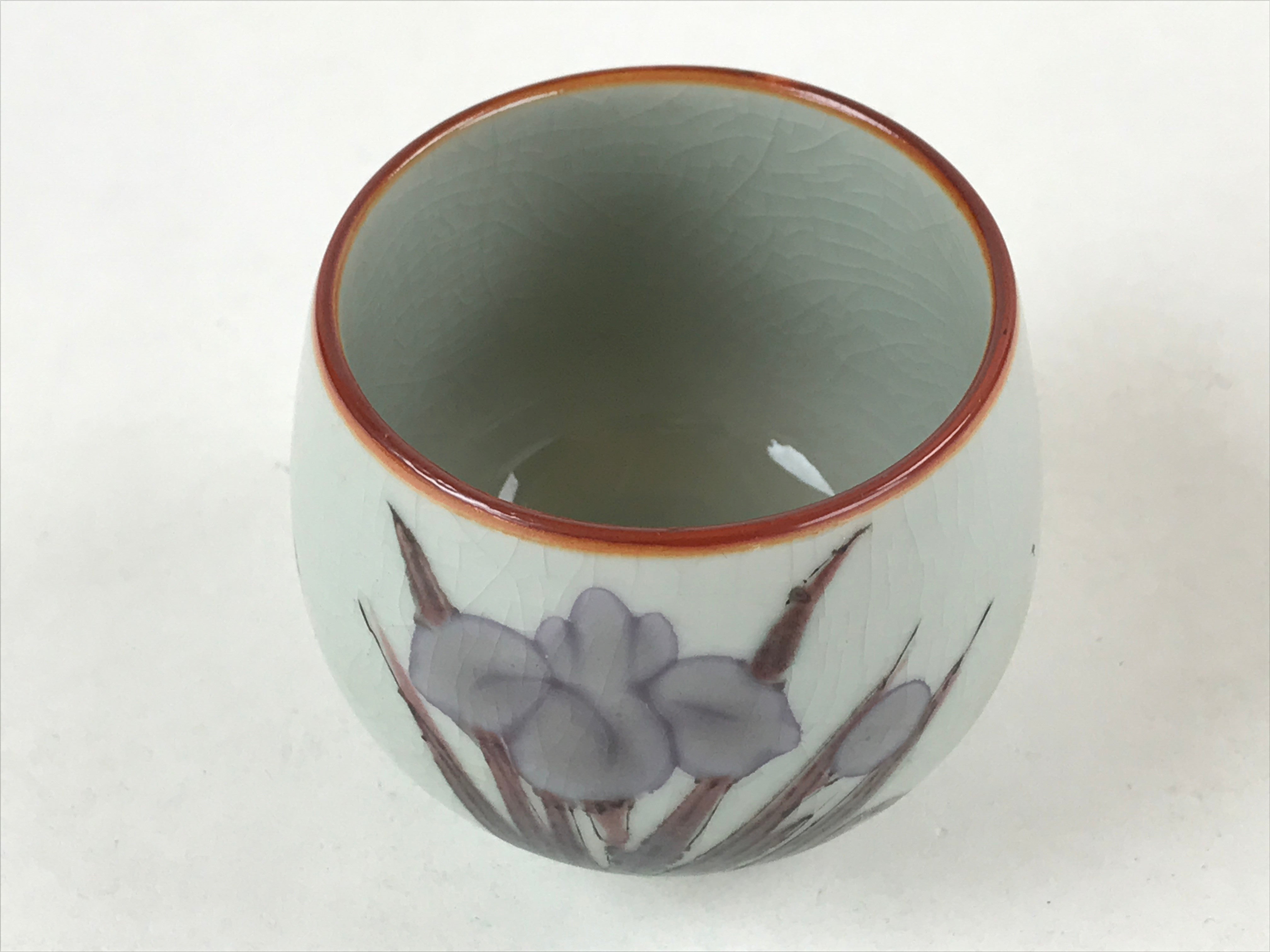 Japanese Ceramic Teacup Vtg Iris Flower Crackle Glaze White Yunomi Sencha TC401