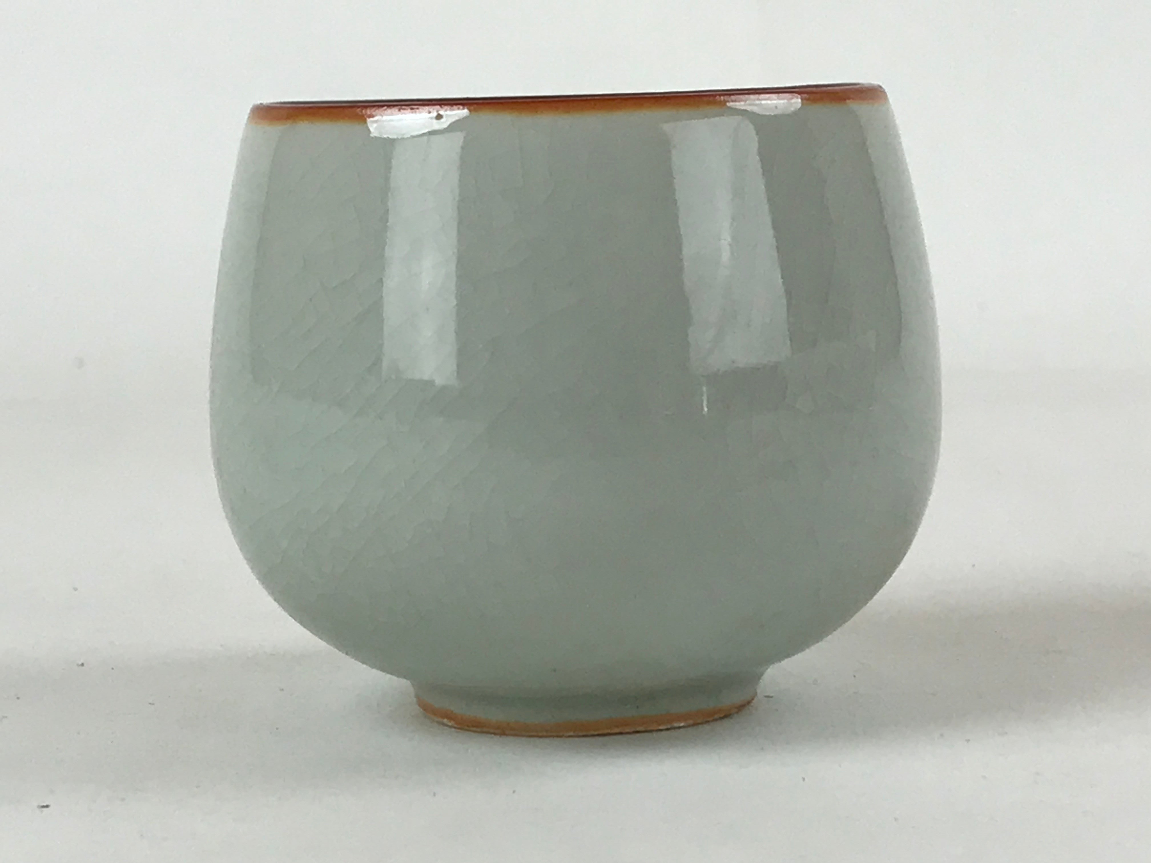 Japanese Ceramic Teacup Vtg Iris Flower Crackle Glaze White Yunomi Sencha TC402