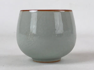 Japanese Ceramic Teacup Vtg Iris Flower Crackle Glaze White Yunomi Sencha TC403