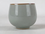 Japanese Ceramic Teacup Vtg Iris Flower Crackle Glaze White Yunomi Sencha TC404