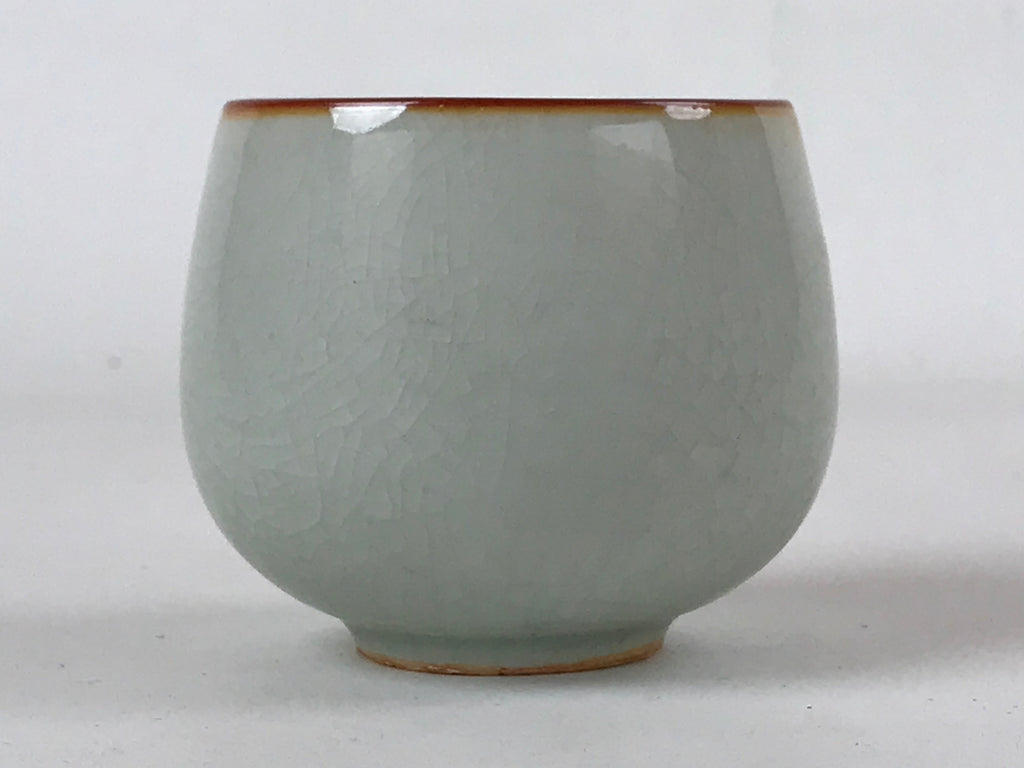 Japanese Ceramic Teacup Vtg Iris Flower Crackle Glaze White Yunomi Sencha TC406